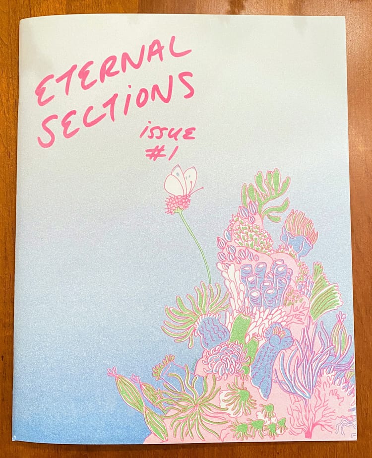 Eternal Sections #1 (2024)